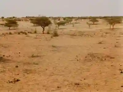 Terrain Agricole de 10 Ha Vers Thiéppe Kébé à Kebemer - Vue 1