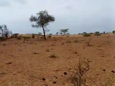 Terrain Agricole de 10 Ha Vers Thiéppe Kébé à Kebemer - Vue 2