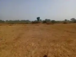 Terrain Agricole de 140 Hectare Vers Notto Diobas à Thies