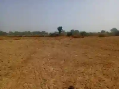 Terrain Agricole de 140 Hectare Vers Notto Diobas à Thies - Vue 1