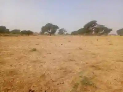 Terrain Agricole de 140 Hectare Vers Notto Diobas à Thies - Vue 2