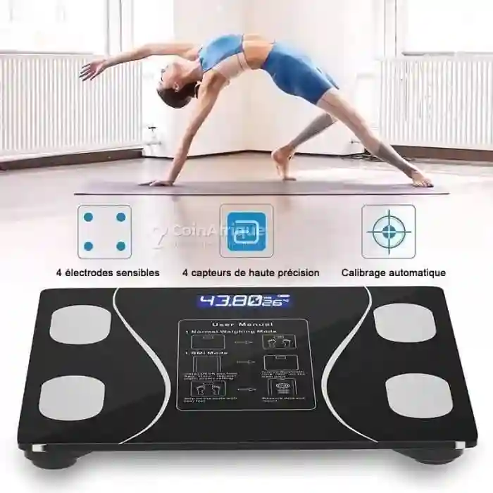 Balance Pese - Vue 2