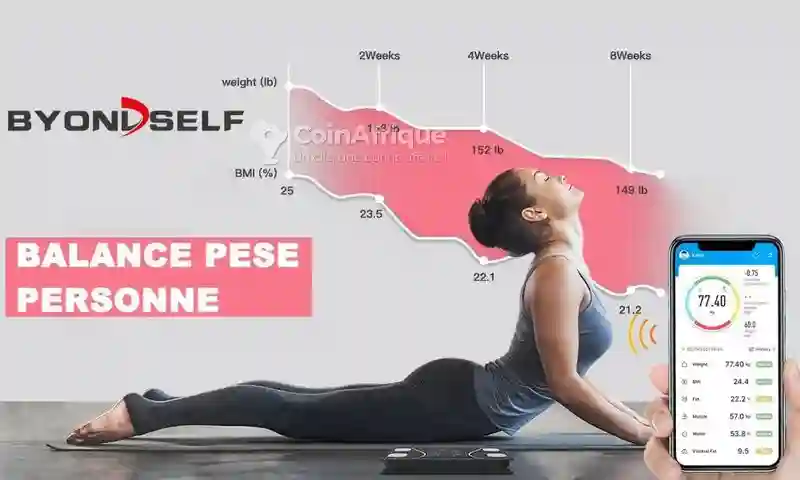 Balance Pese - Vue 5