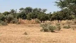 Terrain 225 Mètres Carrés à Vendre à Malicound à Mbour