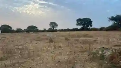 Terrains 225 Mètres Carrés à Vendre à Tène to à Mbour - Vue 2
