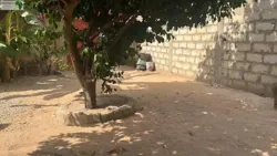 Maison à Vendre à Saly Sénégal